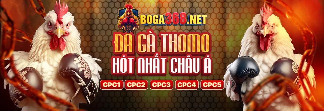 Hình ảnh minh họa trang Câu hỏi thường gặp về daga AE888